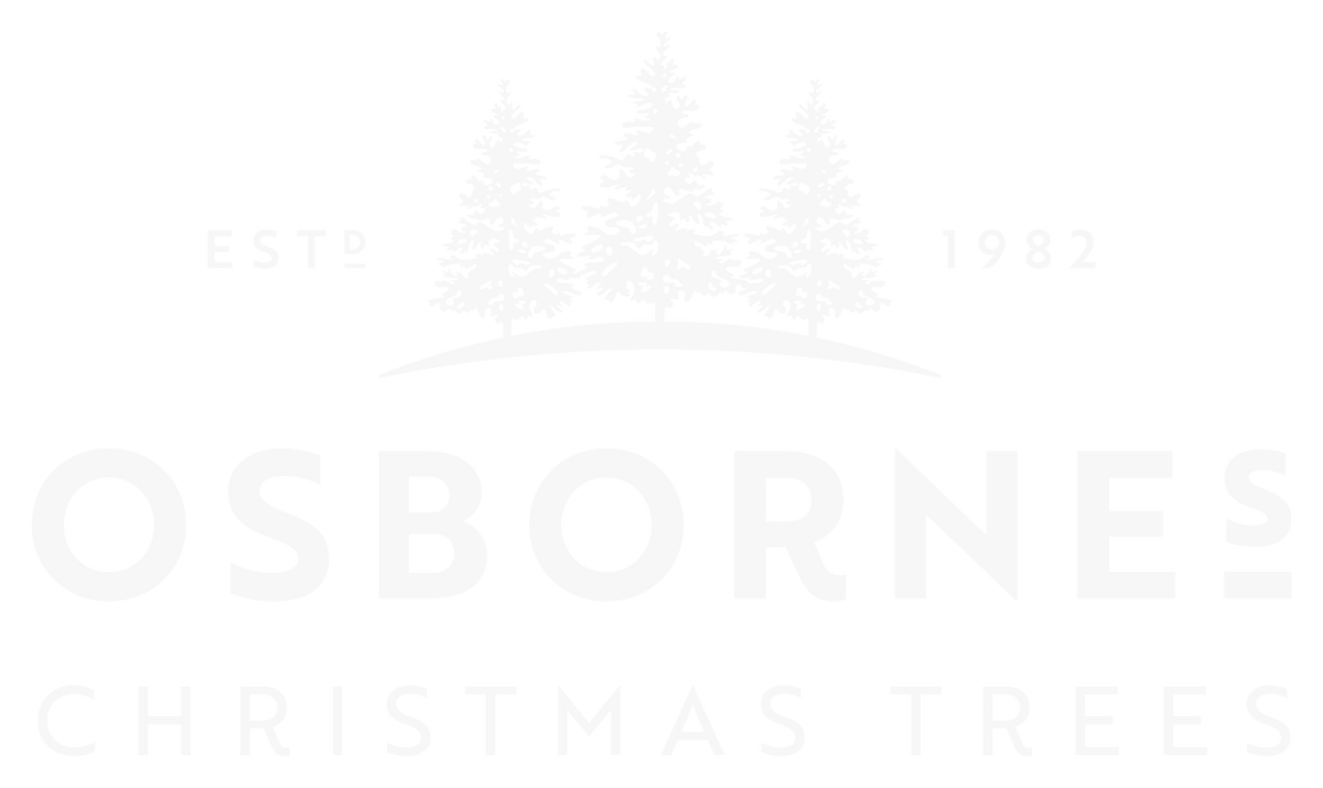 Fresh From The Forest
– Osbornes Christmas Trees